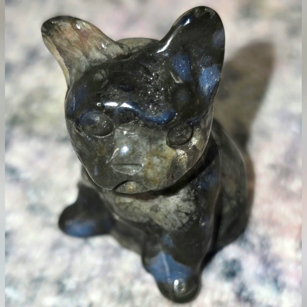 Llanite Frenchie